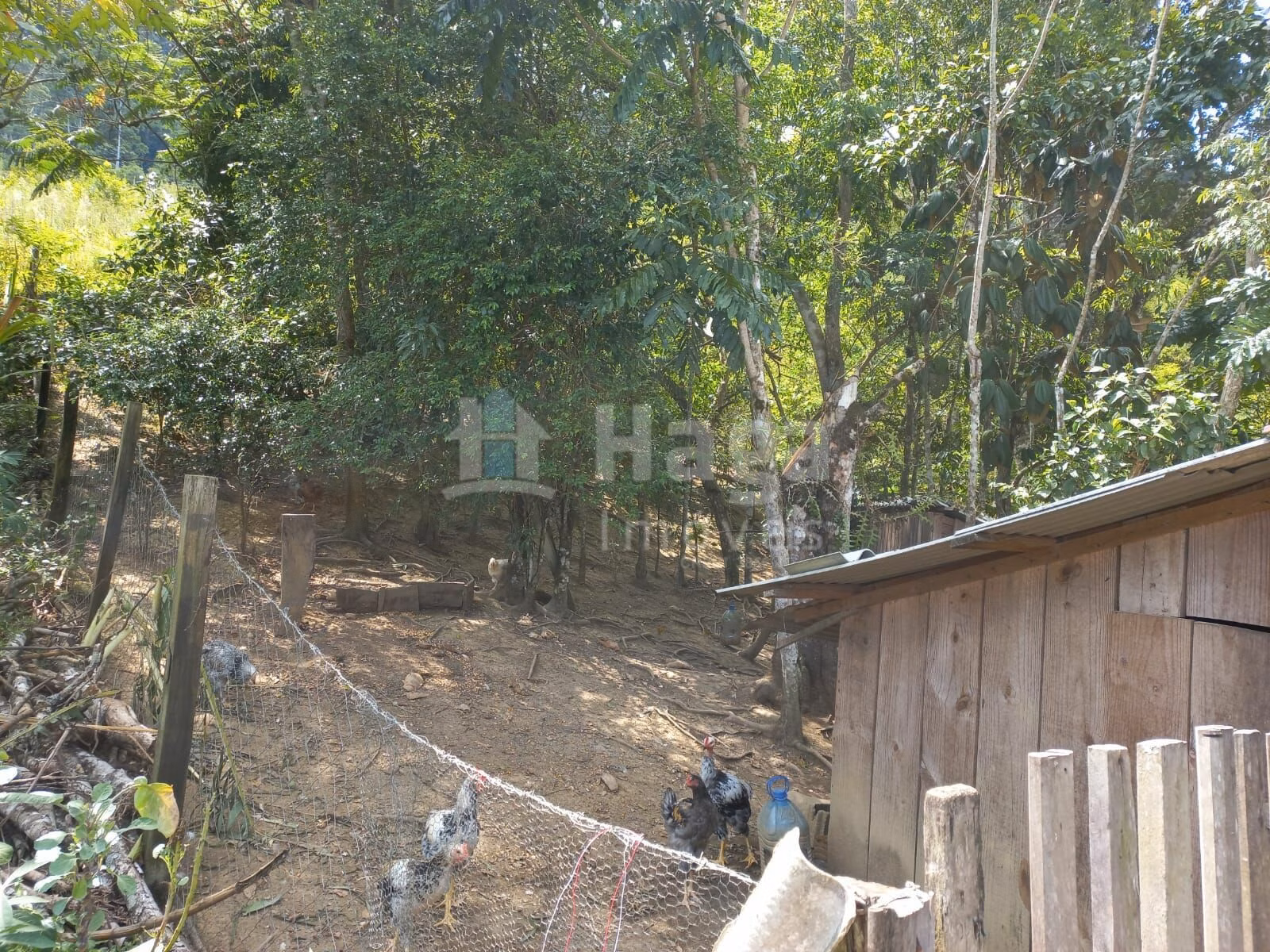 Chácara de 1 ha em José Boiteux, SC