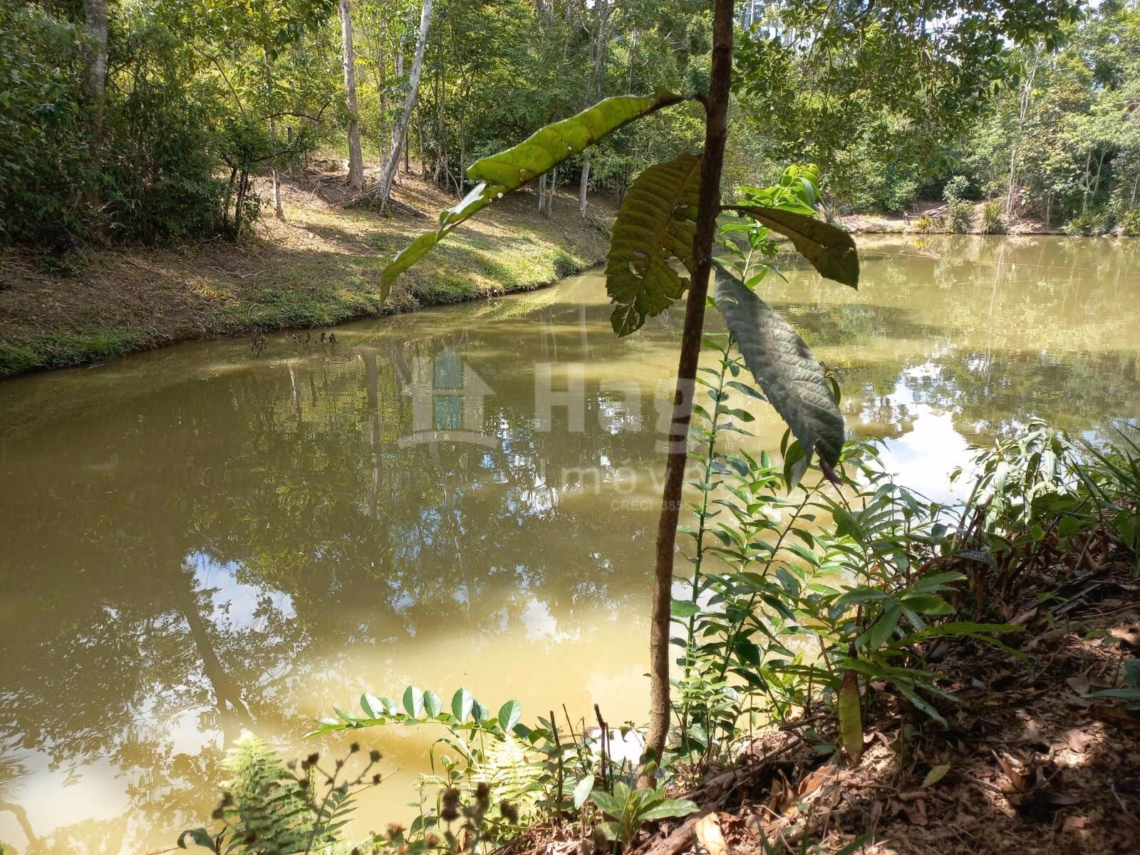 Chácara de 1 ha em José Boiteux, SC