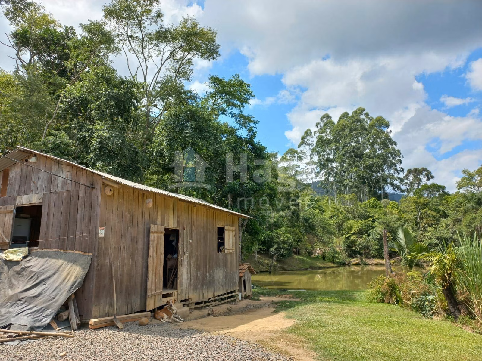 Chácara de 1 ha em José Boiteux, SC