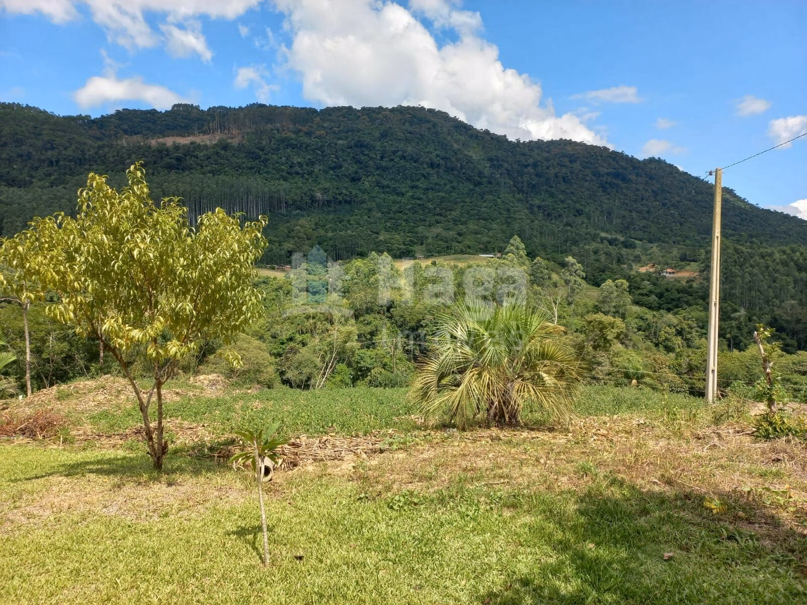 Chácara de 1 ha em José Boiteux, SC