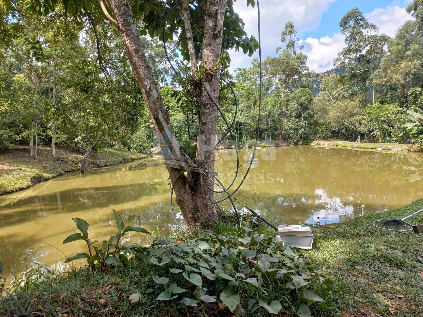 Chácara de 1 ha em José Boiteux, SC