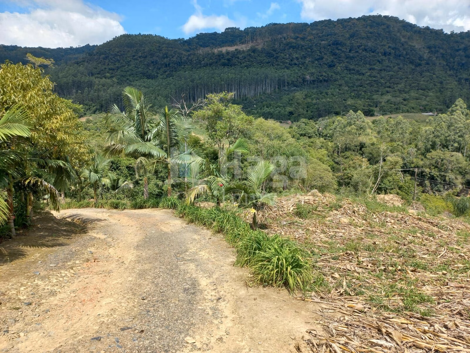 Chácara de 1 ha em José Boiteux, SC