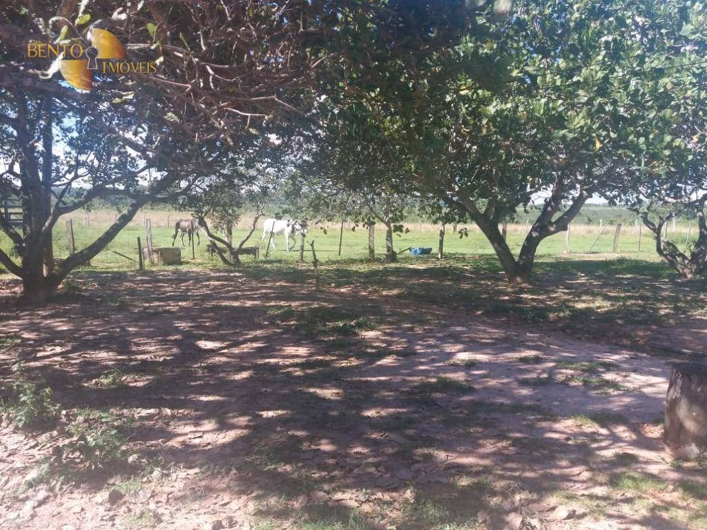 Fazenda de 1.258 ha em Barra do Garças, MT