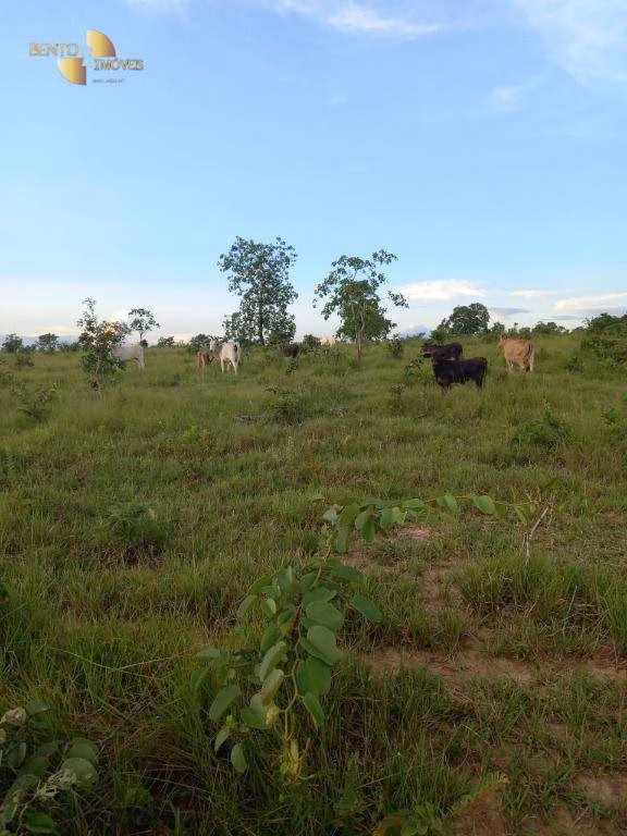 Fazenda de 1.258 ha em Barra do Garças, MT