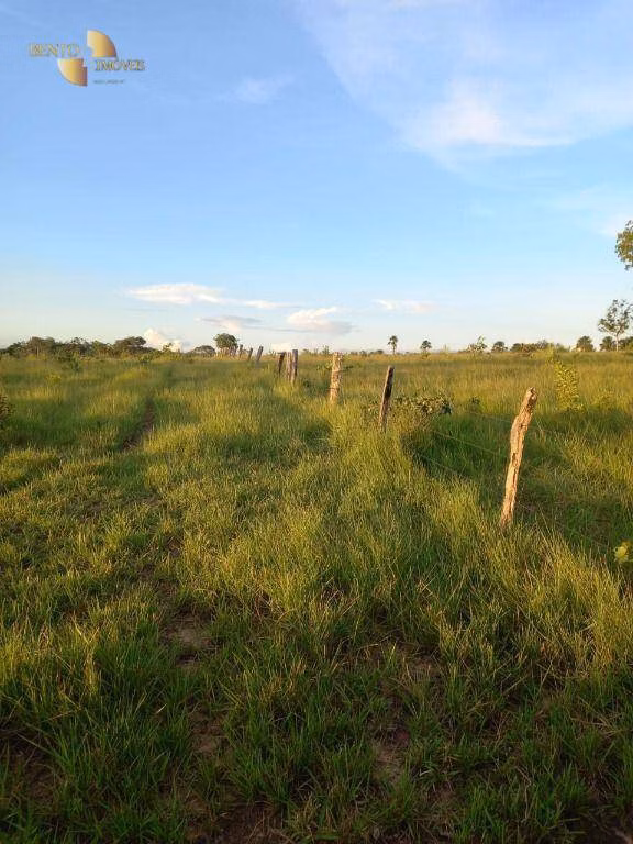 Fazenda de 1.258 ha em Barra do Garças, MT