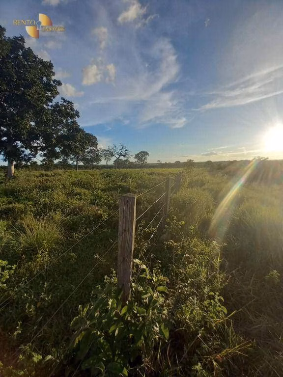 Fazenda de 1.258 ha em Barra do Garças, MT