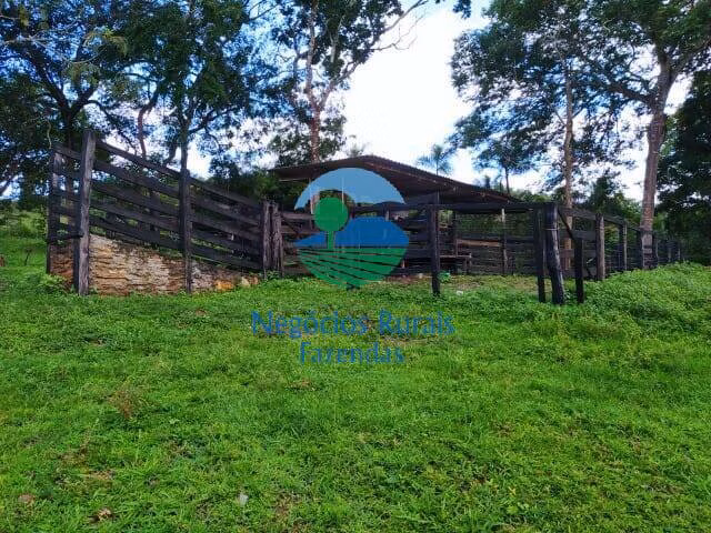 Sítio de 96 ha em Hidrolândia, GO
