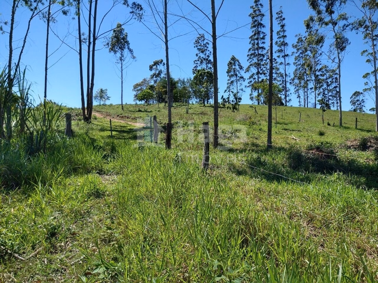Plot of 2 acres in Ilhota, SC, Brazil