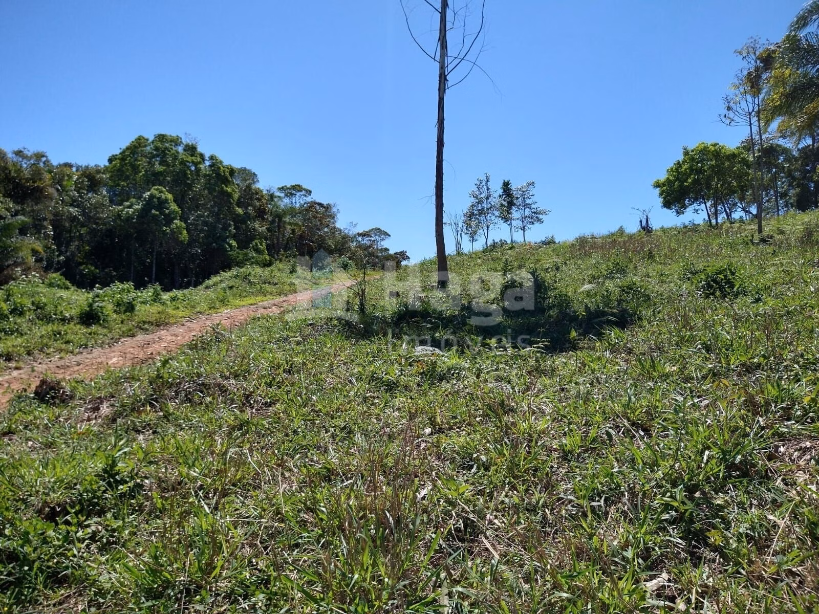 Plot of 2 acres in Ilhota, SC, Brazil