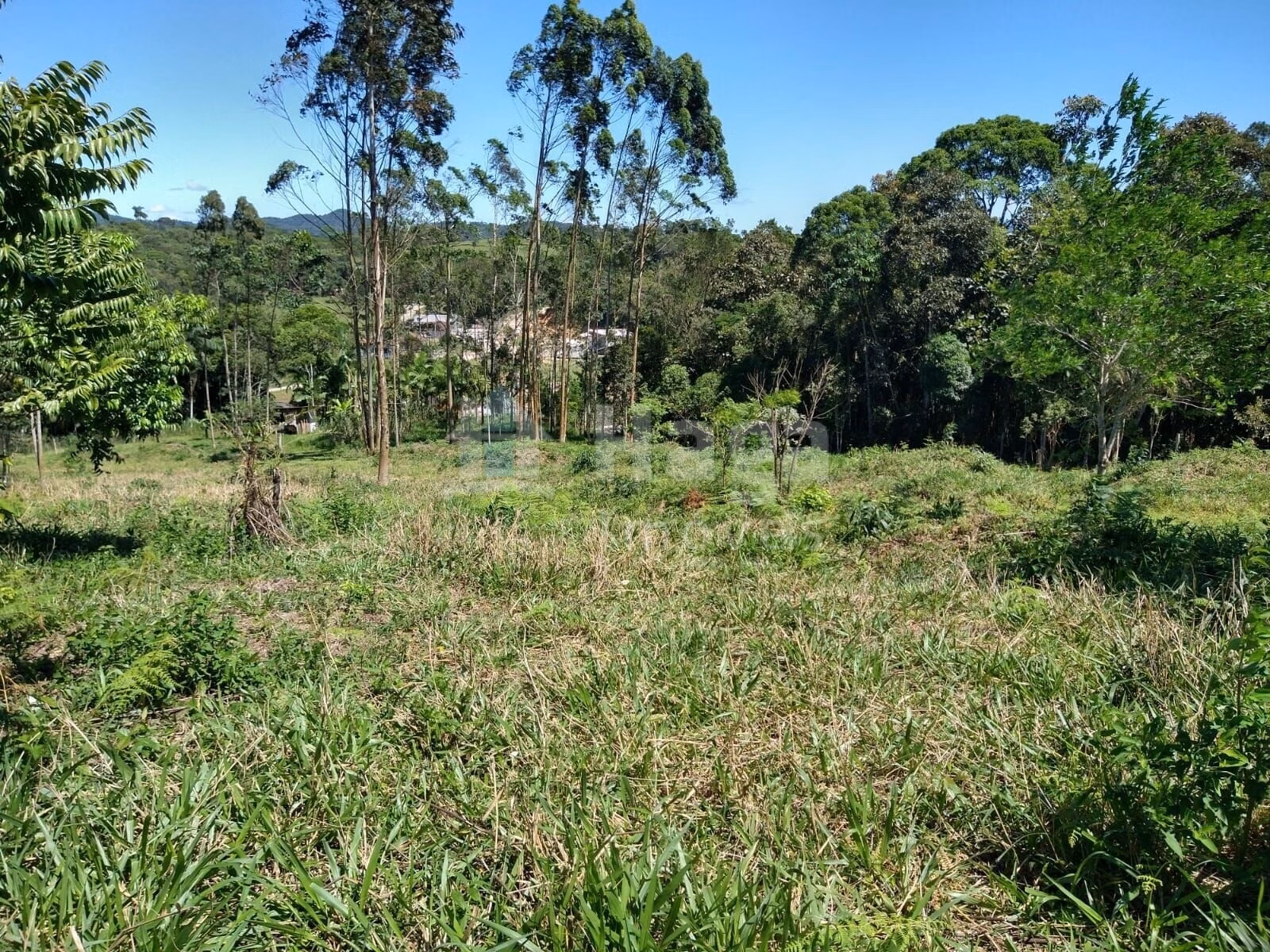 Plot of 2 acres in Ilhota, SC, Brazil