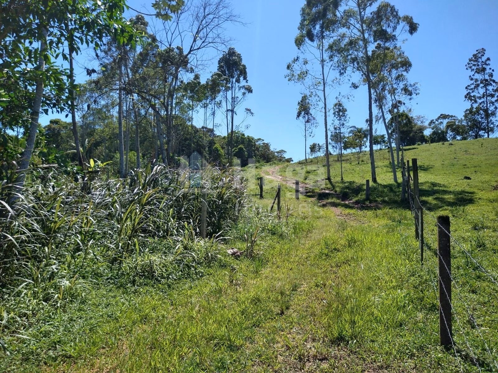 Plot of 2 acres in Ilhota, SC, Brazil