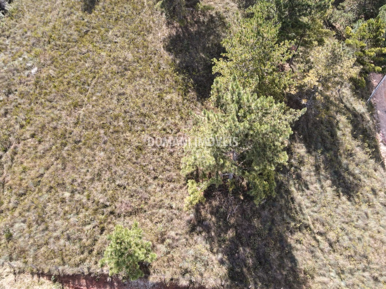 Plot of 1,400 m² in Campos do Jordão, SP, Brazil