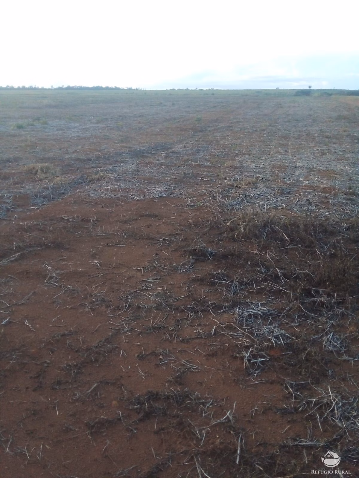 Sítio de 50 ha em Peixoto de Azevedo, MT