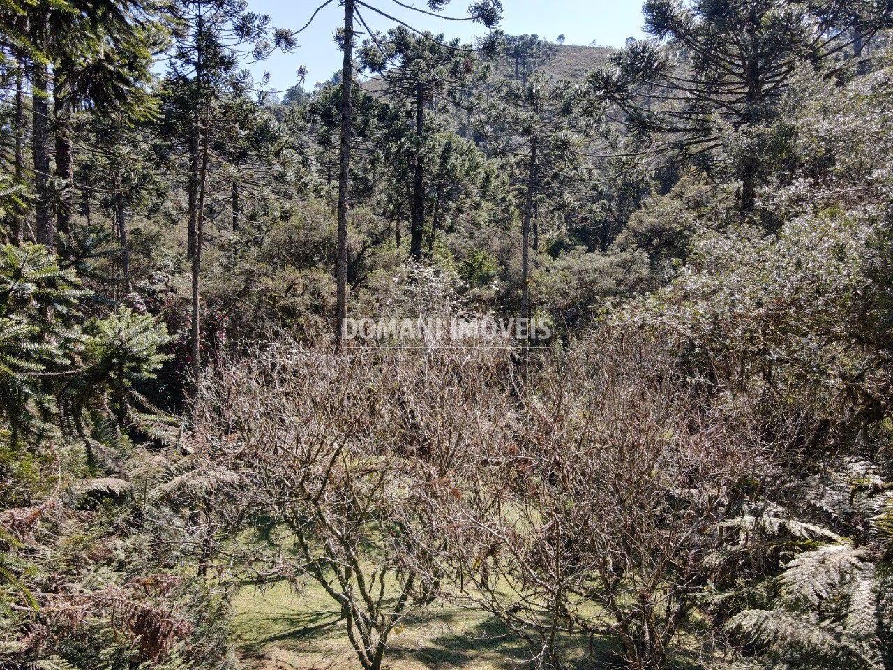 House of 2 acres in Campos do Jordão, SP, Brazil