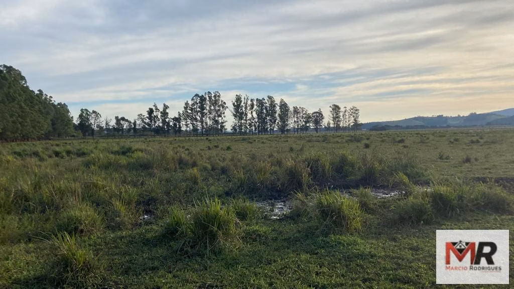 Fazenda de 175 ha em Careaçu, MG