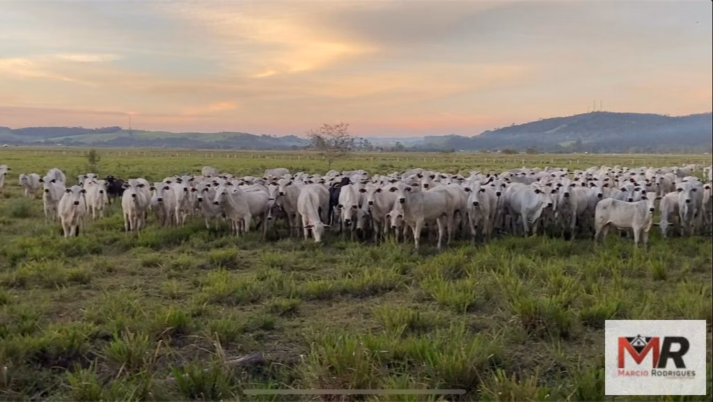 Fazenda de 175 ha em Careaçu, MG
