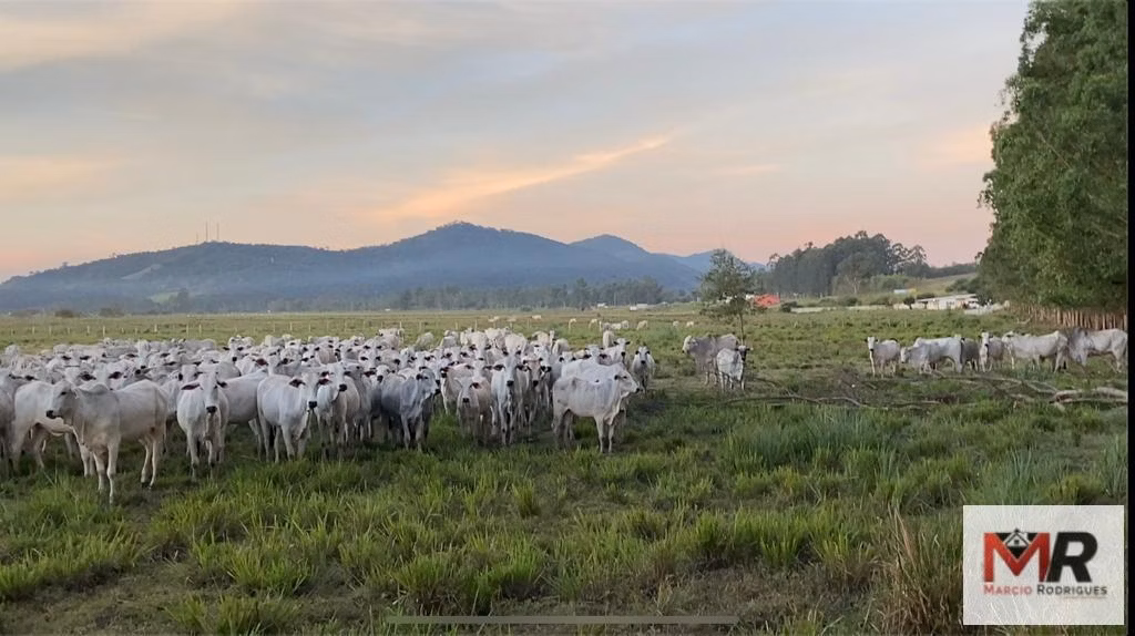 Fazenda de 175 ha em Careaçu, MG