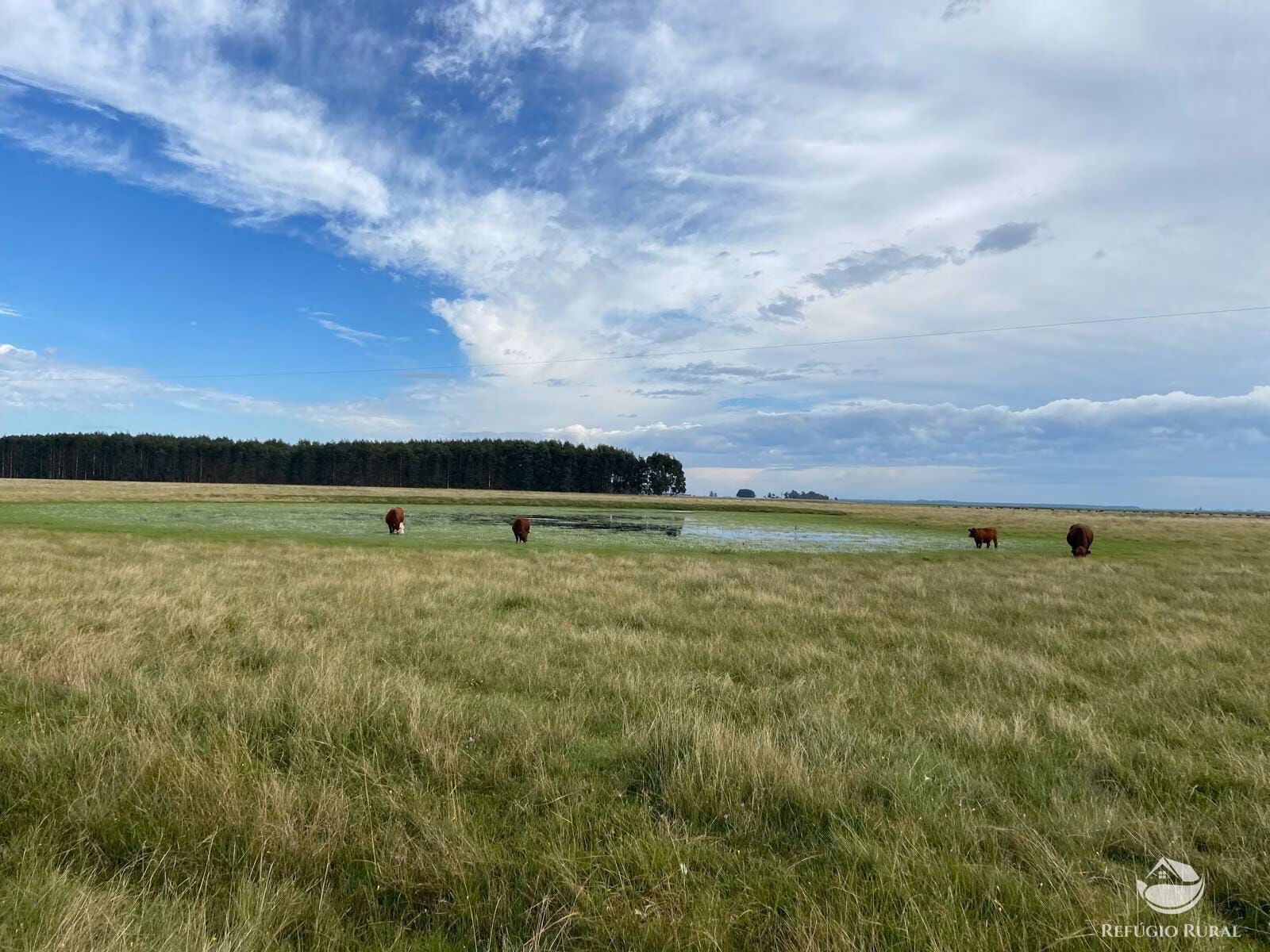 Fazenda à venda de 9.112 ha em Santana do Livramento, RS