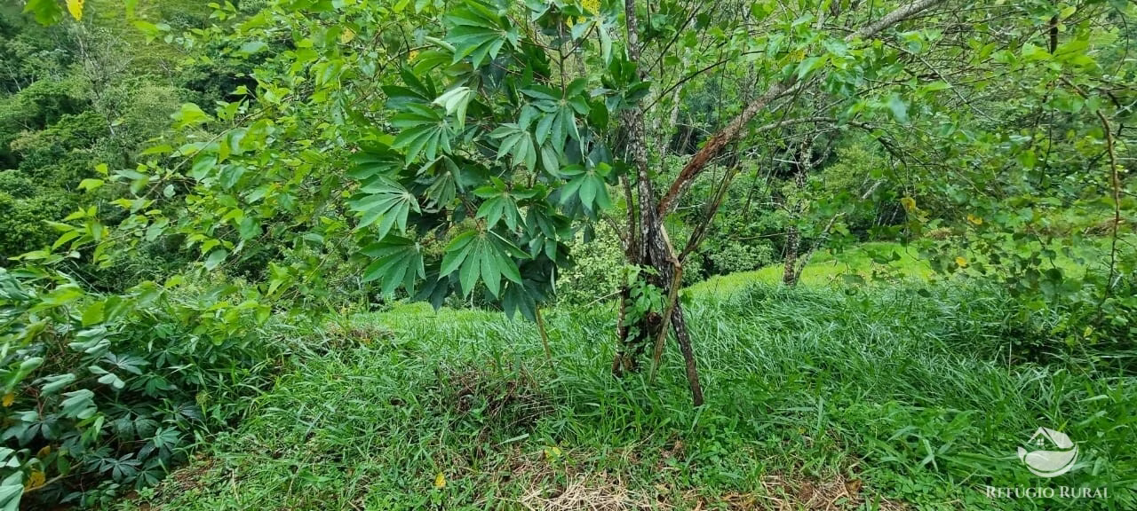 Chácara de 7.000 m² em São José dos Campos, SP