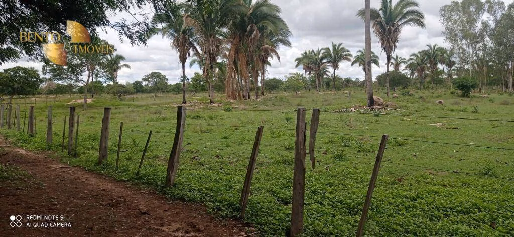 Sítio de 86 ha em Santo Antônio de Leverger, MT