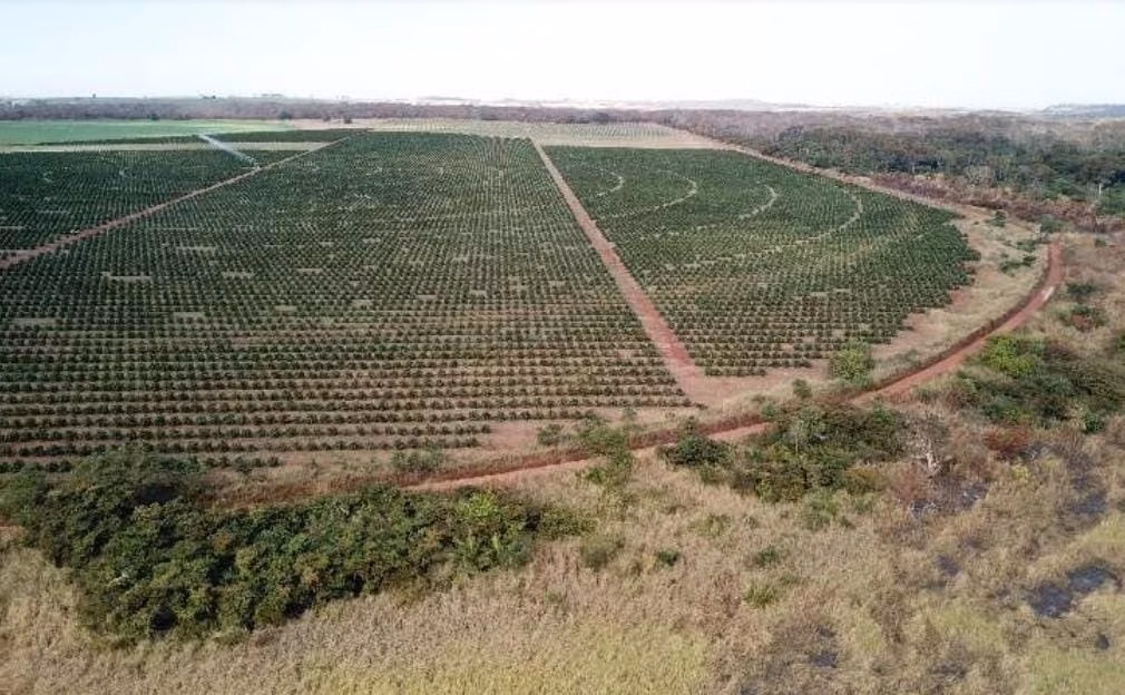Fazenda de 158 ha em Cardoso, SP