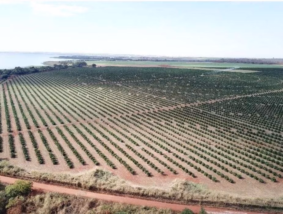 Fazenda de 158 ha em Cardoso, SP