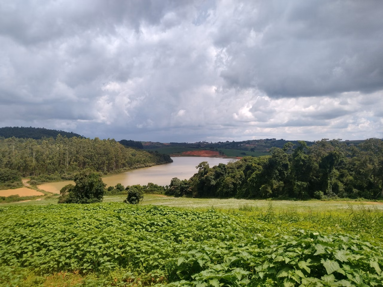 Fazenda de 177 ha em Munhoz, MG