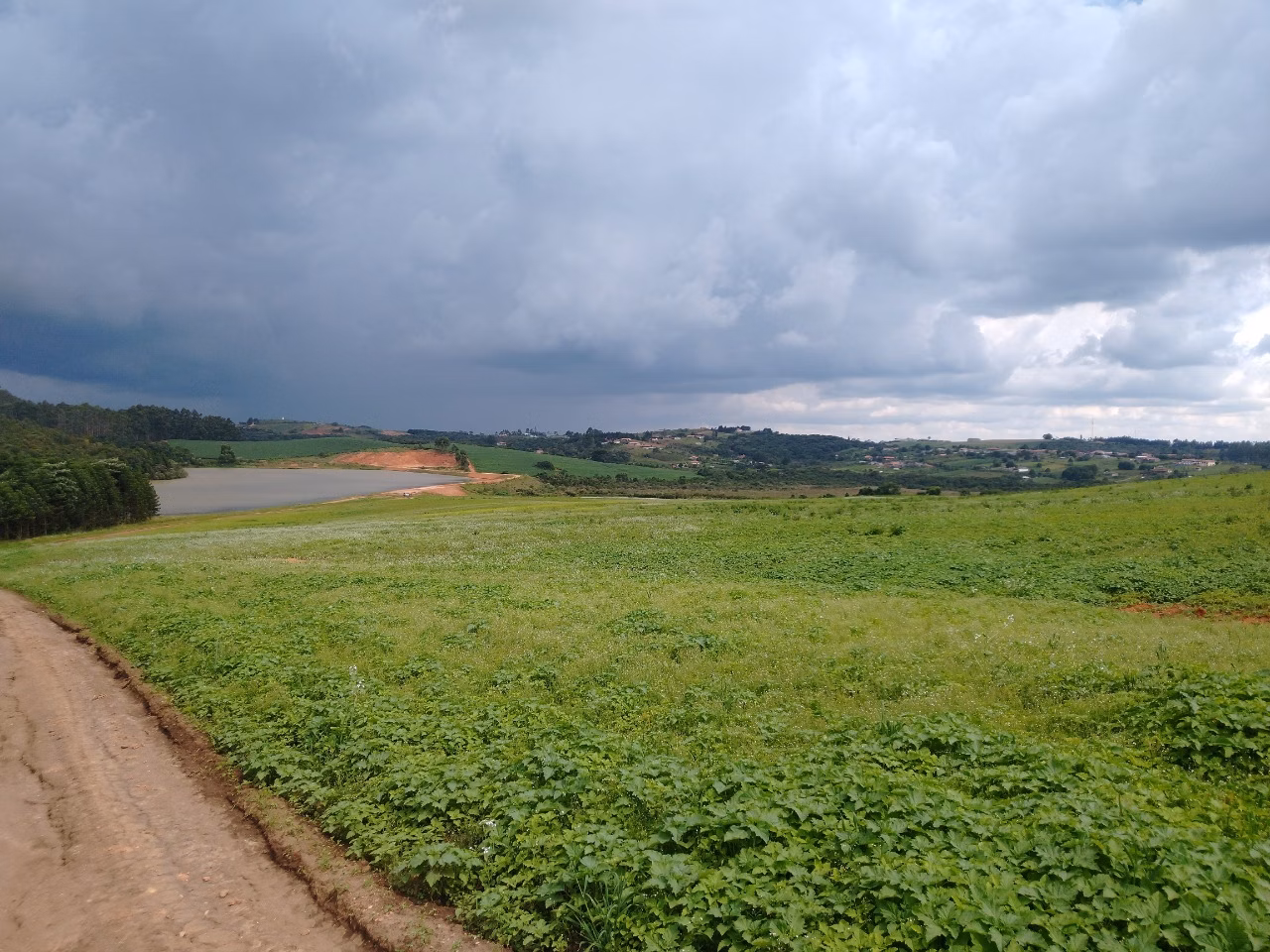 Fazenda de 177 ha em Munhoz, MG