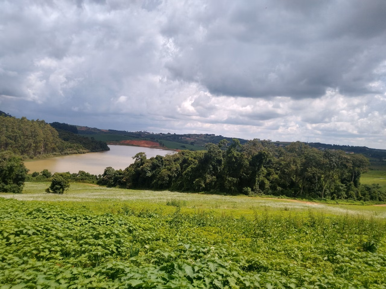 Fazenda de 177 ha em Munhoz, MG