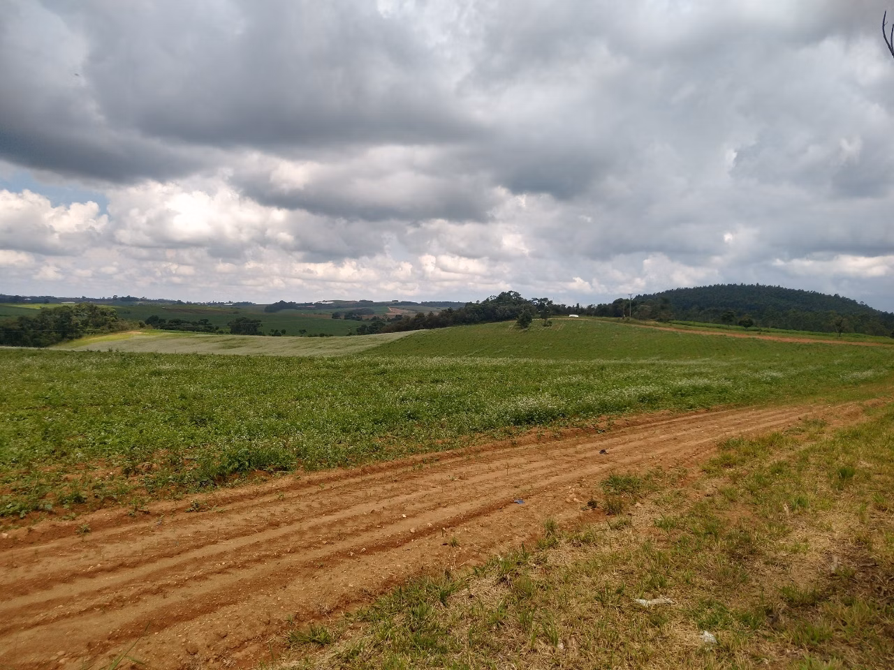 Fazenda de 177 ha em Munhoz, MG