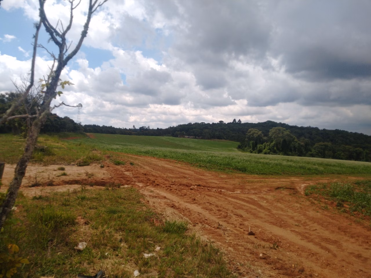 Fazenda de 177 ha em Munhoz, MG