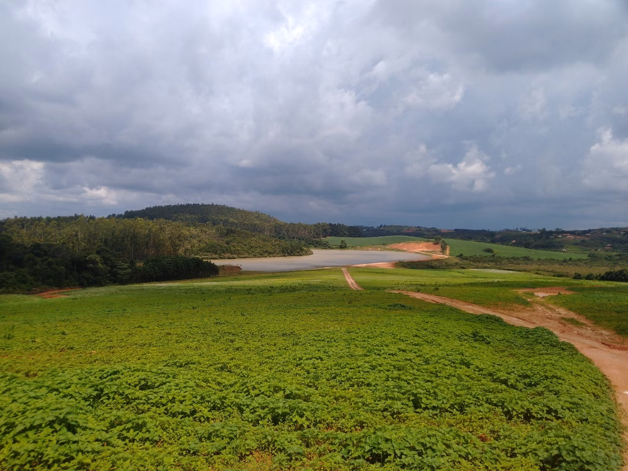 Fazenda de 177 ha em Munhoz, MG
