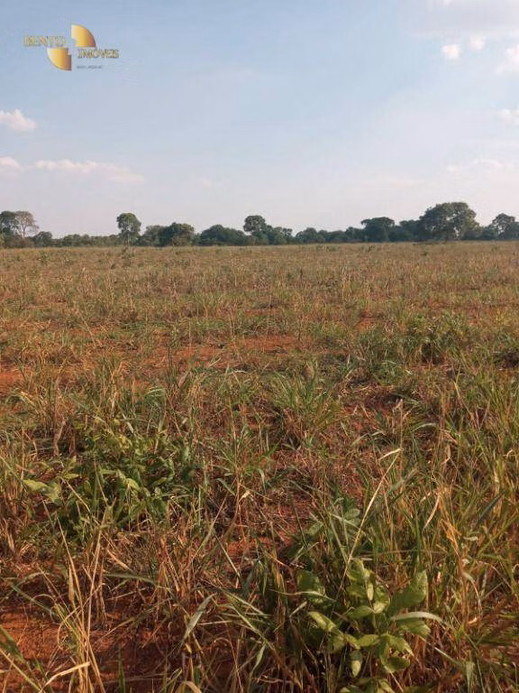 Farm of 3,039 acres in Jangada, MT, Brazil