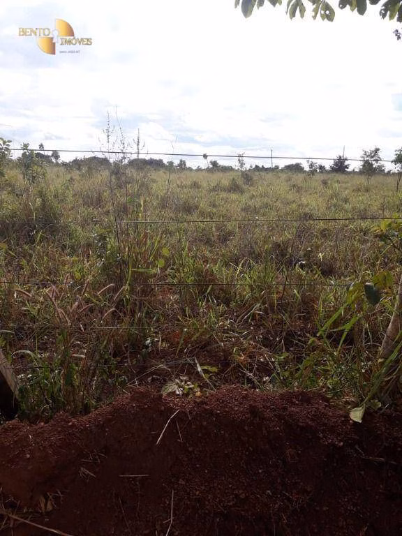 Farm of 3,039 acres in Jangada, MT, Brazil
