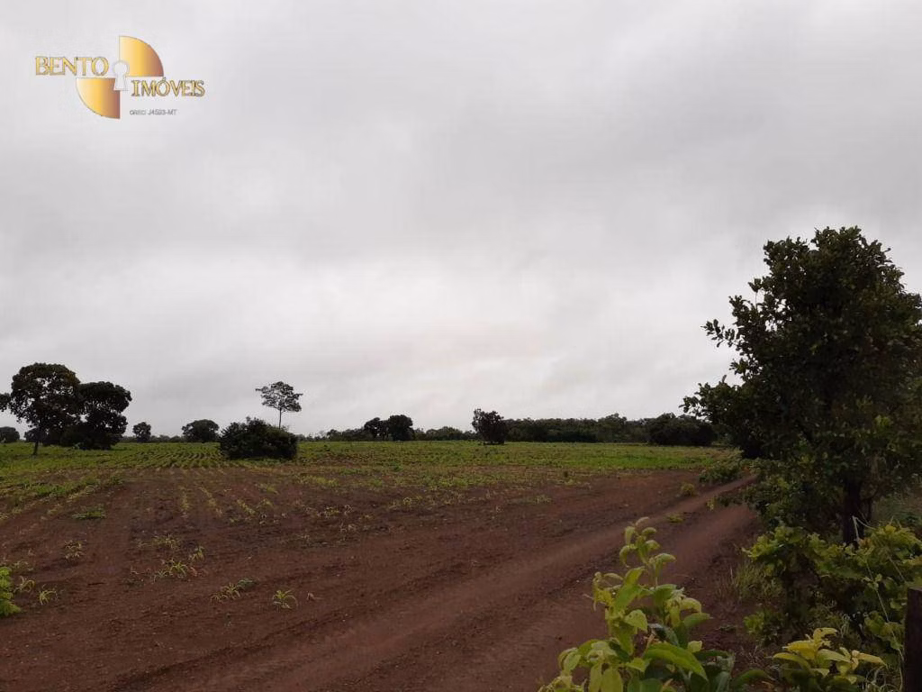Farm of 3,039 acres in Jangada, MT, Brazil