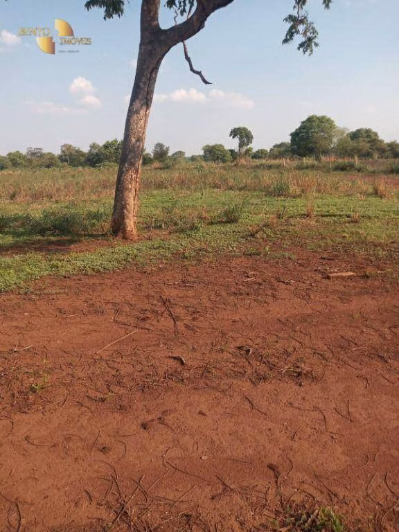 Farm of 3,039 acres in Jangada, MT, Brazil