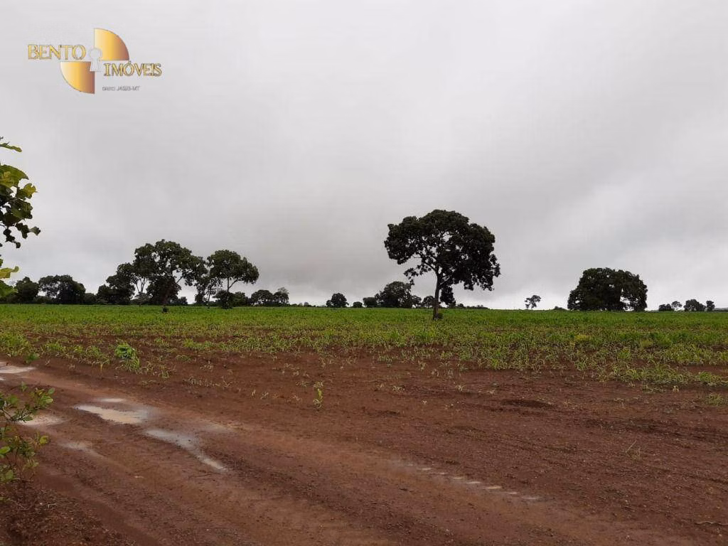 Farm of 3,039 acres in Jangada, MT, Brazil