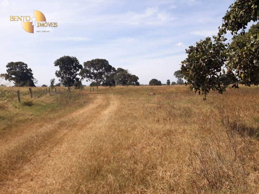 Farm of 3,039 acres in Jangada, MT, Brazil