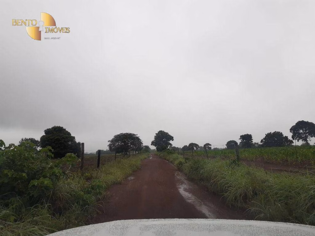 Farm of 3,039 acres in Jangada, MT, Brazil