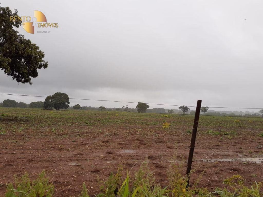 Farm of 3.039 acres in Jangada, MT, Brazil