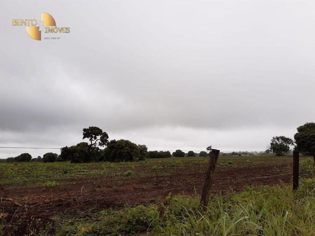 Farm of 3.039 acres in Jangada, MT, Brazil