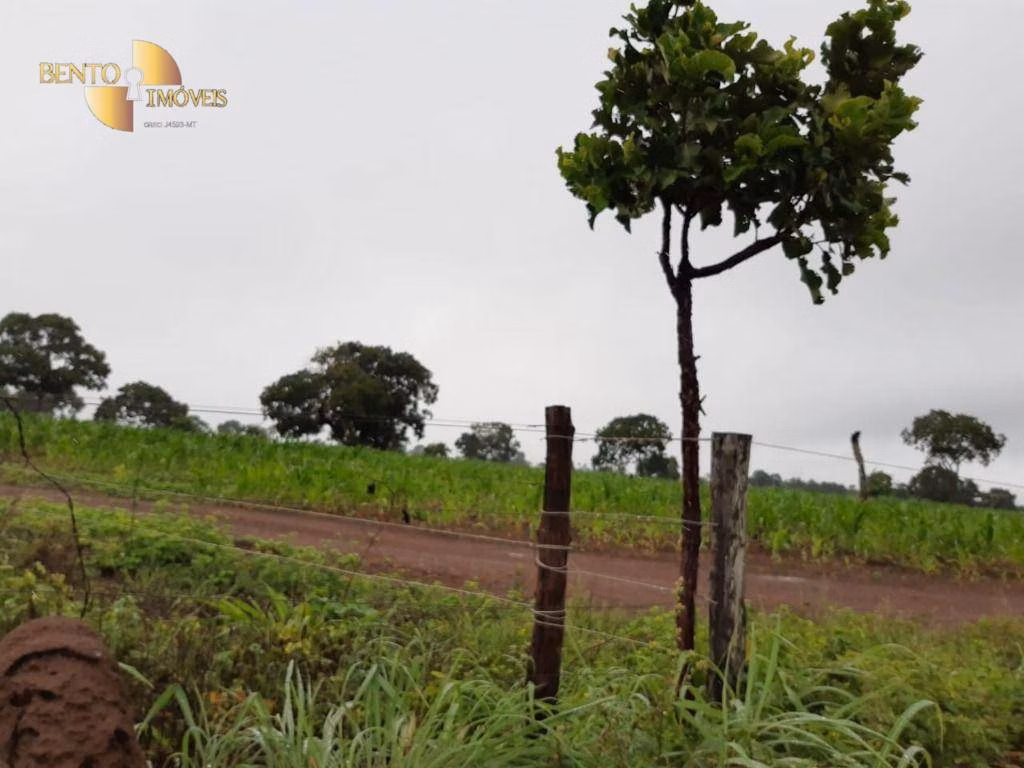 Farm of 3,039 acres in Jangada, MT, Brazil