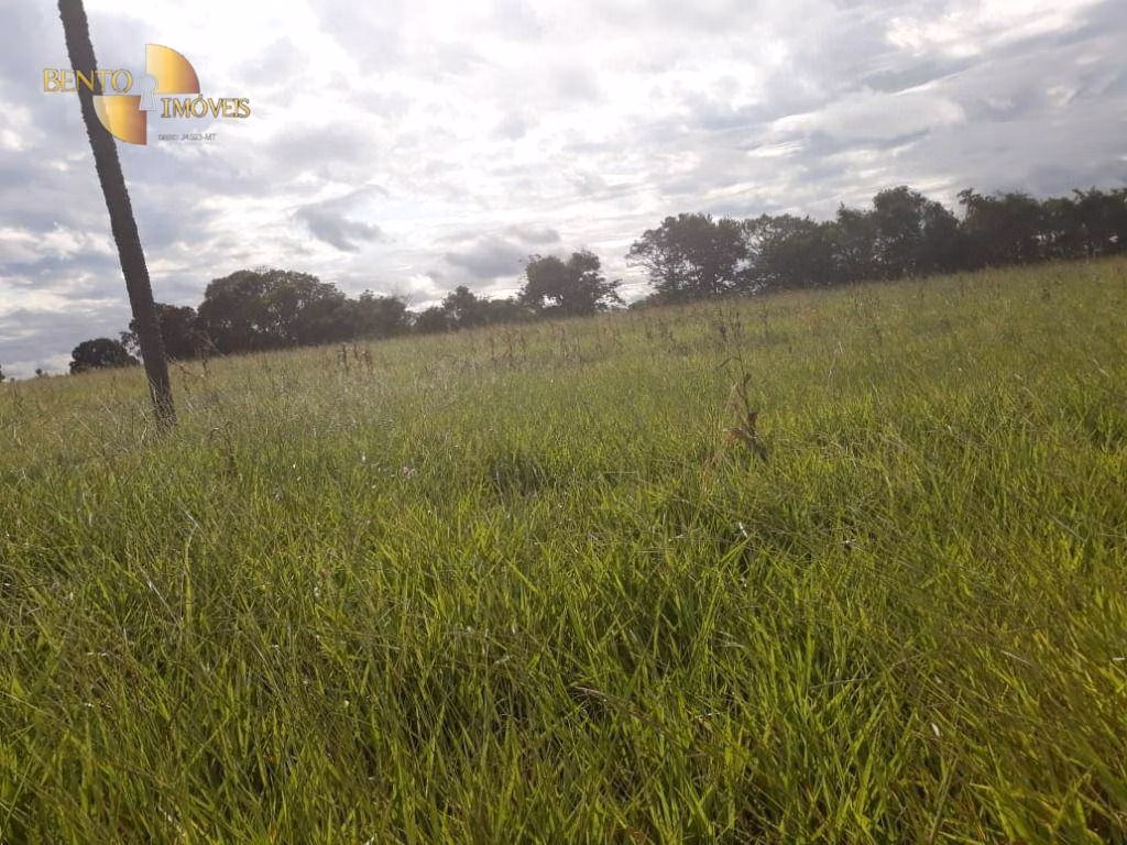 Farm of 3,039 acres in Jangada, MT, Brazil