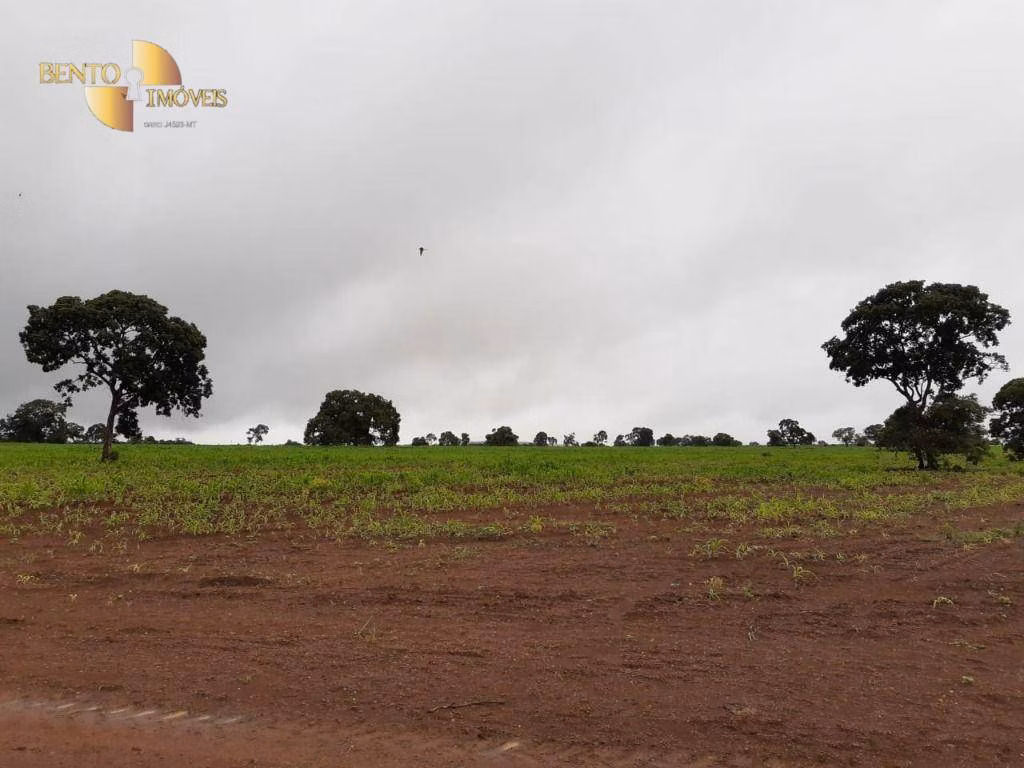 Farm of 3,039 acres in Jangada, MT, Brazil