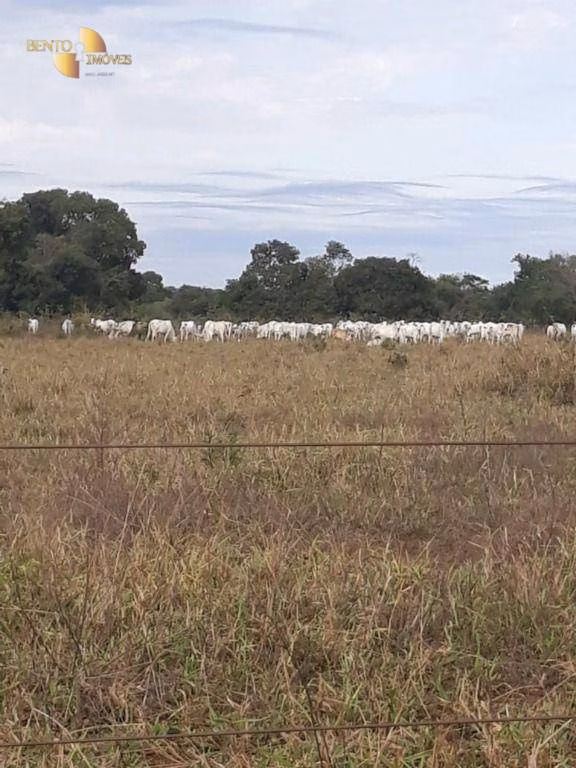 Farm of 3,039 acres in Jangada, MT, Brazil