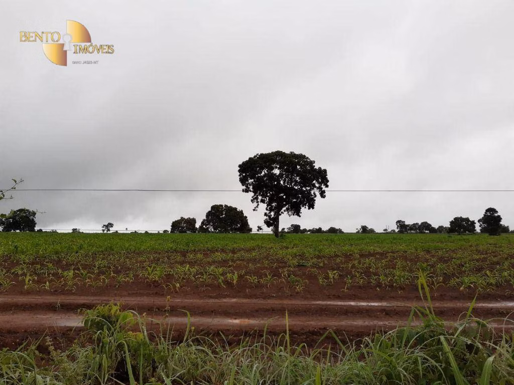 Farm of 3,039 acres in Jangada, MT, Brazil