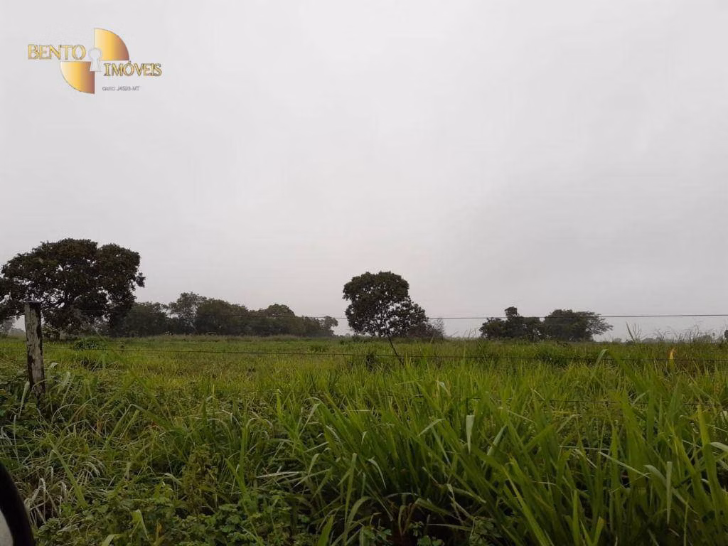 Farm of 3,039 acres in Jangada, MT, Brazil