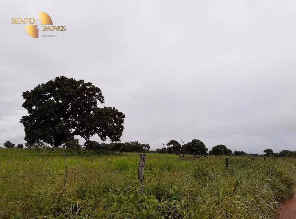 Farm of 3,039 acres in Jangada, MT, Brazil