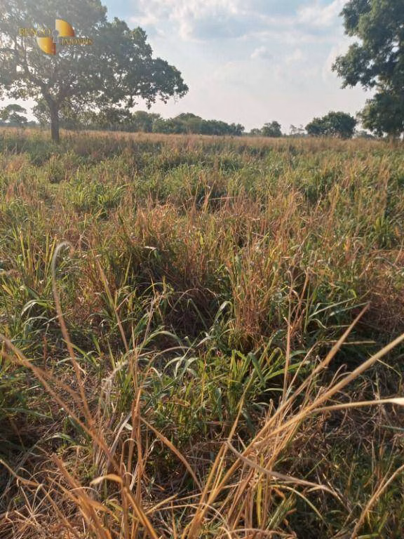 Farm of 3,039 acres in Jangada, MT, Brazil