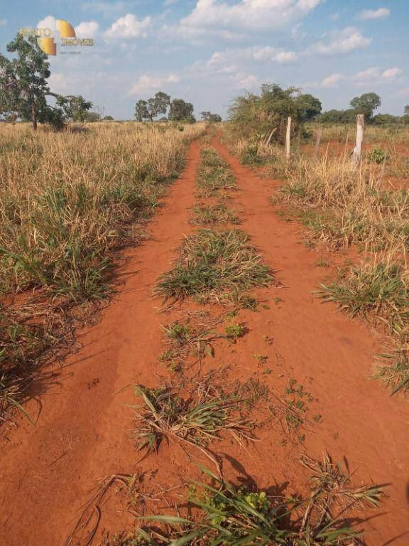Farm of 3.039 acres in Jangada, MT, Brazil